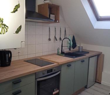 Mulhouse Apartamento | La Mulhousienne F3 Centre ville