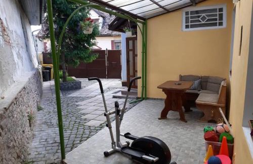 Medias Casa | La Pablito