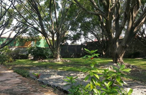 Crucero Tezoyuca Casa | La palma, un lugar donde puedes estar en contacto con la naturaleza.