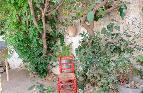 Alhama de Granada Casa | La Palmera