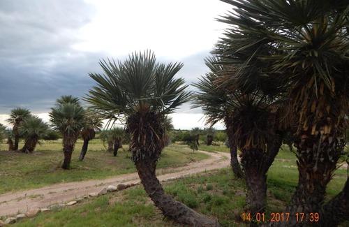 Departamento Chacabuco Casa | La Palmita