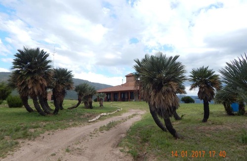 Departamento Chacabuco Casa | La Palmita