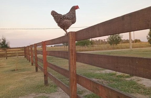 Chascomús Apartamento | La Pancha