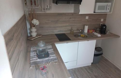 Sain-Bel Apartamento | La parenthèse dorée Studio à saint bel
