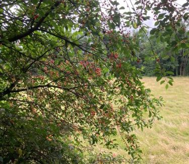 Fougerolles Casa | La Parenthèse gîte à la campagne