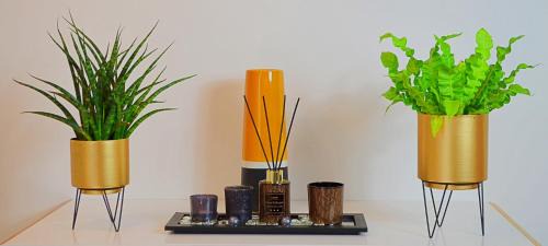 Molsheim Apartamento | La pause gourmande charme et confort au centre ville