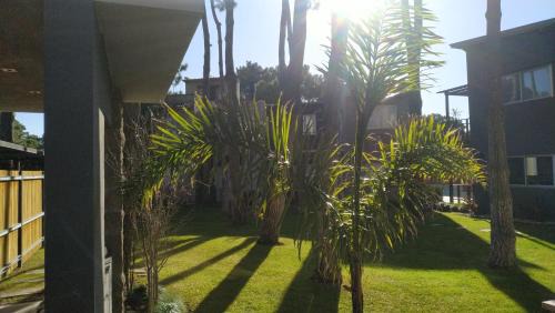 Pinamar Apartamento | La Pedrera