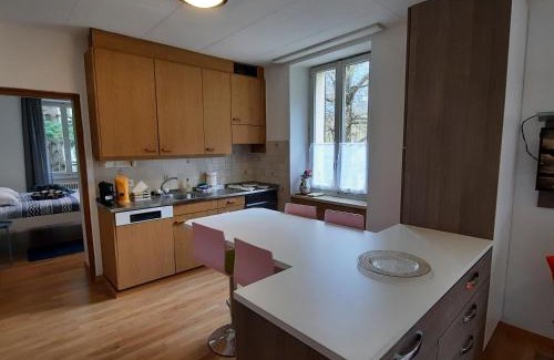 Lavorgo Apartamento | La Pergola by Quokka 360 - for mountain sports enthusiasts