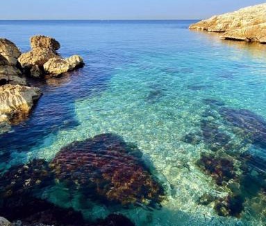 Montredon Cama Y Desayuno | La Petite Calanque