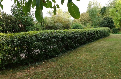 Wolfgantzen Apartamento | La petite maison