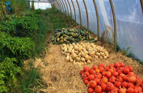 Amirat Casa | La Petite Prairie