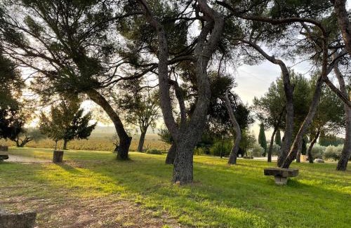 Montfrin Casa | "La Pinède" à l'ombre des pins tout simplement
