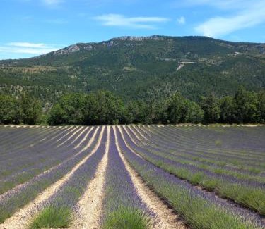 Mollans-sur-Ouveze Casa | La plume du Ventoux suite 305