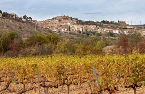 San Martin de Unx Casa | La Posadica Casa Aldabe