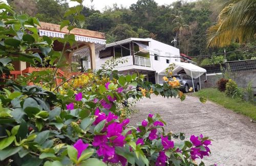 Riviere-Pilote Chalet De Esquí | La Poulette amazonienne