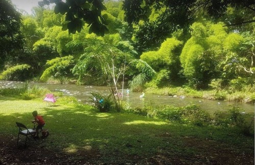 Zarzal Alquiler De RV | La Poza, El Yunque!!! Camping Area combenation
