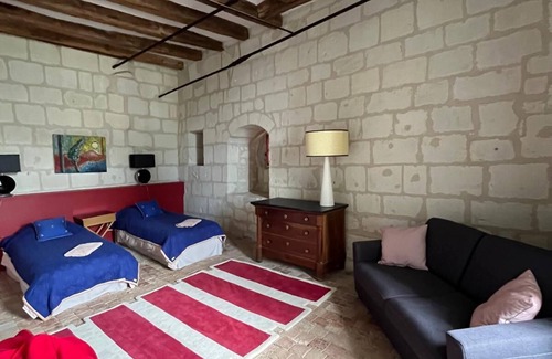 Candes-Saint-Martin Otro | La Prévôté - large charming gîte