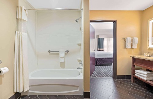 Willowbrook Hotel | La Quinta by Wyndham Houston Willowbrook Vintage Park