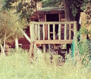 Queilen Casa | La Ranchita de Queilen