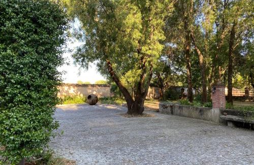 La Adrada Casa | La Resinera