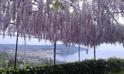 Agropoli Cama Y Desayuno | La Roccia