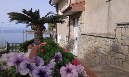 Agropoli Cama Y Desayuno | La Roccia