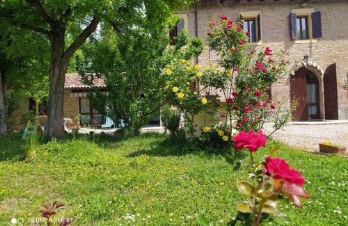 Nonantola Cama Y Desayuno | La Rosa Selvatica