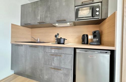 Mont-de-Marsan Apartamento | La Roseraie - Hyper Centre - Parking Privatif