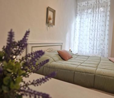 Viterbo Apartamento | La Rosina