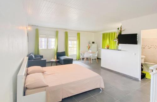 Saint-Pierre Apartamento | La Santa Clara - Studio climatisé
