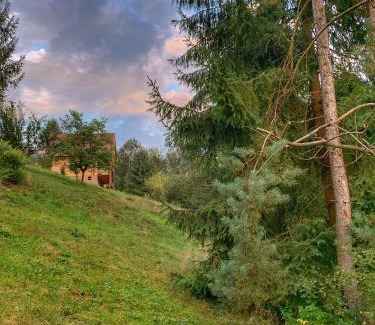 Garda de Sus Chalet De Esquí | La Sava lui Traian