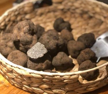 Richerenches Casa | La Simone