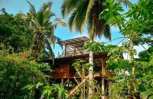El Valle Cama Y Desayuno | La tarima del colibri Ecolodge