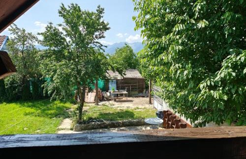 Dragus Casa | La Tataia Zahei