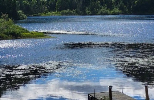 Riviere-a-Pierre Cabina | La Terrasse du Lac Castor