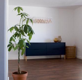 Puerto de la Cruz Apartamento | La Terraza! Studio Apartment