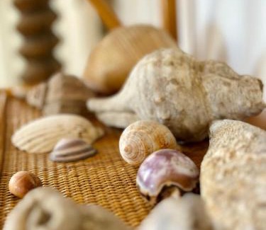 Sferracavallo Apartamento | La Terrazza sul Mare