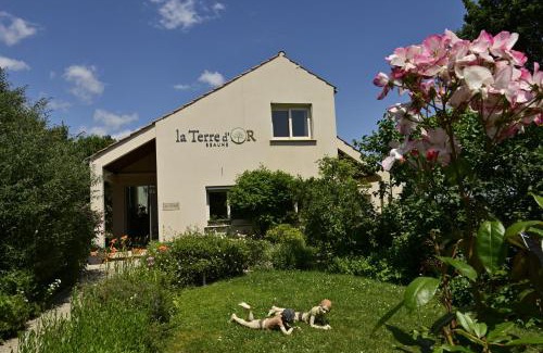 Beaune Casa | La Terre d'Or
