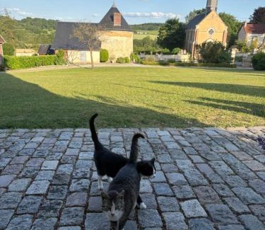 Saint-Agnan-sur-Sarthe Casa | La Tourelle