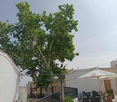 Lucainena de las Torres Casa | La Troje Pensión