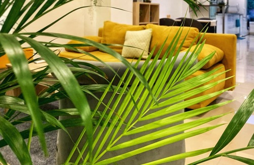Croix Casa | La Tropical de Croix - Chambre d'Hôtes