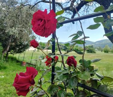 Sarzana Casa | La Tua Dimora tra le Cinque Terre e le Alpi Apuane