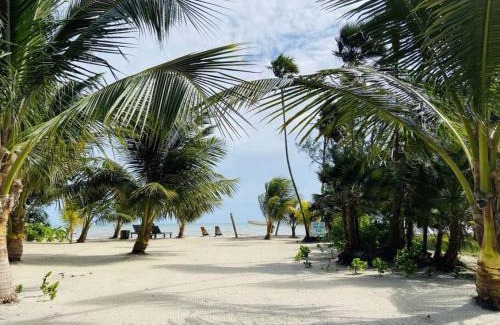 Caribbean Way Casa | La Vida Belize - Casa