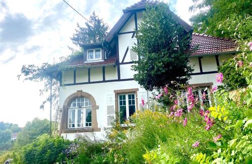 La Petite-Pierre Casa | LA VILLA DES OISEAUX - La Petite Pierre