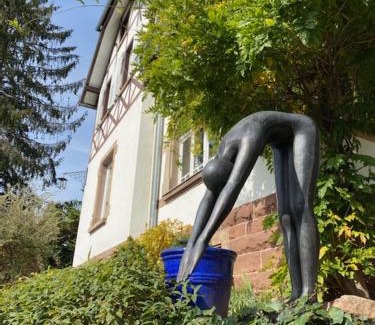 La Petite-Pierre Casa | LA VILLA DES OISEAUX - La Petite Pierre