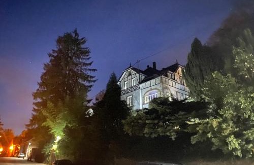 La Petite-Pierre Casa | LA VILLA DES OISEAUX - La Petite Pierre