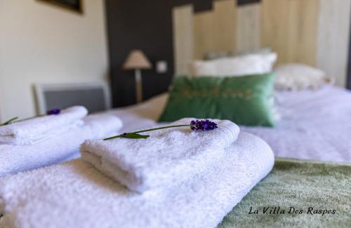 Viala-du-Tarn Cama Y Desayuno | La Villa des Raspes - Séjour Bien être et Spa - Réservé aux Adultes