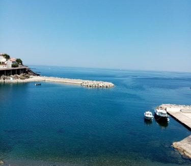Cerbere Casa | La Villa Rosace