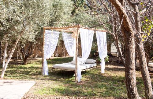 District of Sidi Youssef Ben Ali Villa | La Villa Safran Ailleurs sous les Oliviers