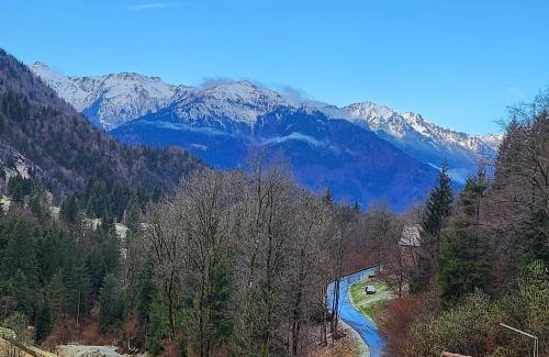 Ravascletto Apartamento | La Vita